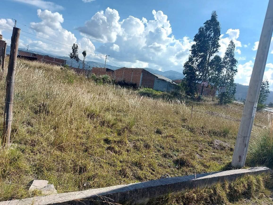 Foto 7