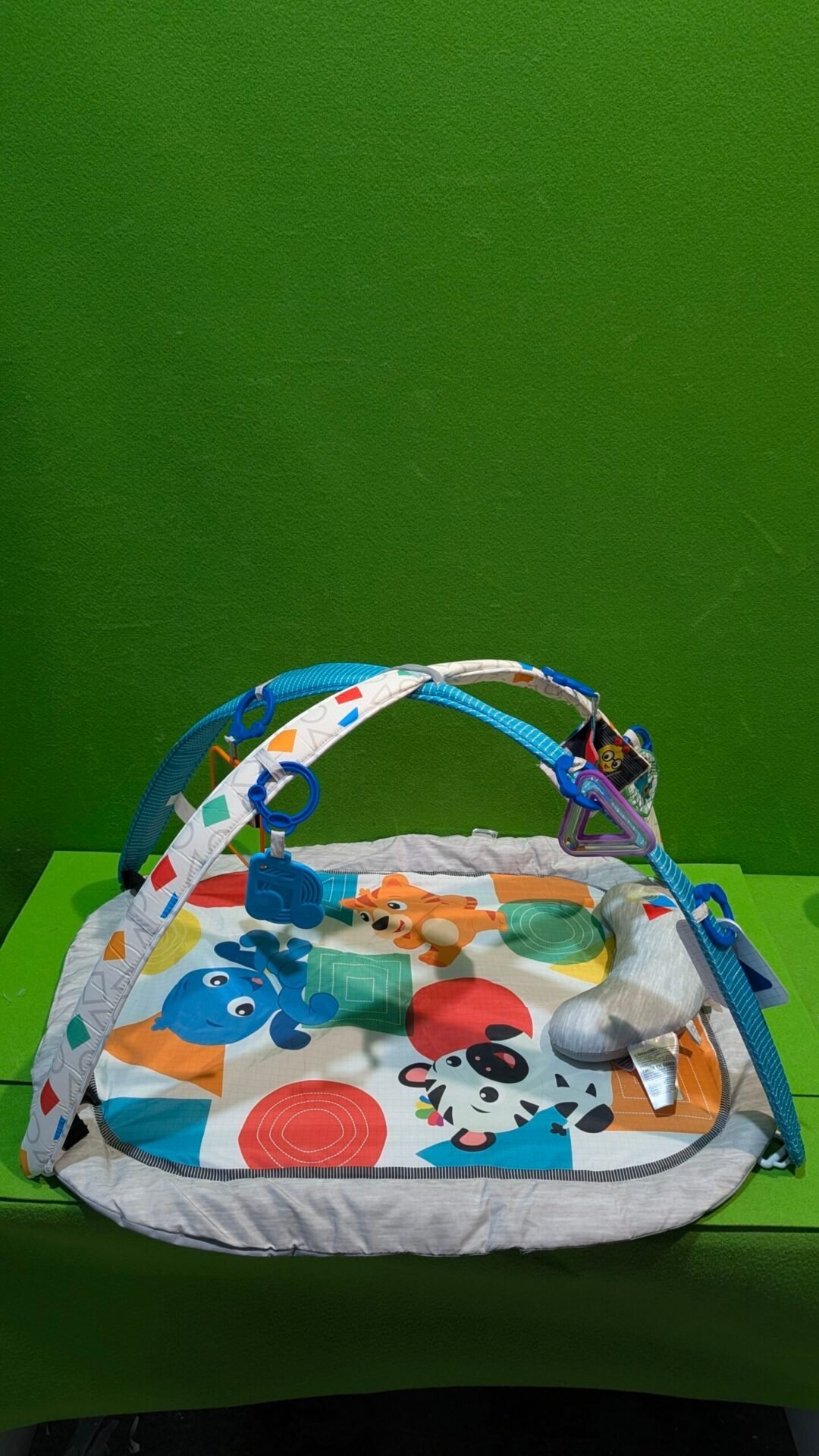Foto 2 de Baby Einstein, Gimansio de Actividades para bebés
