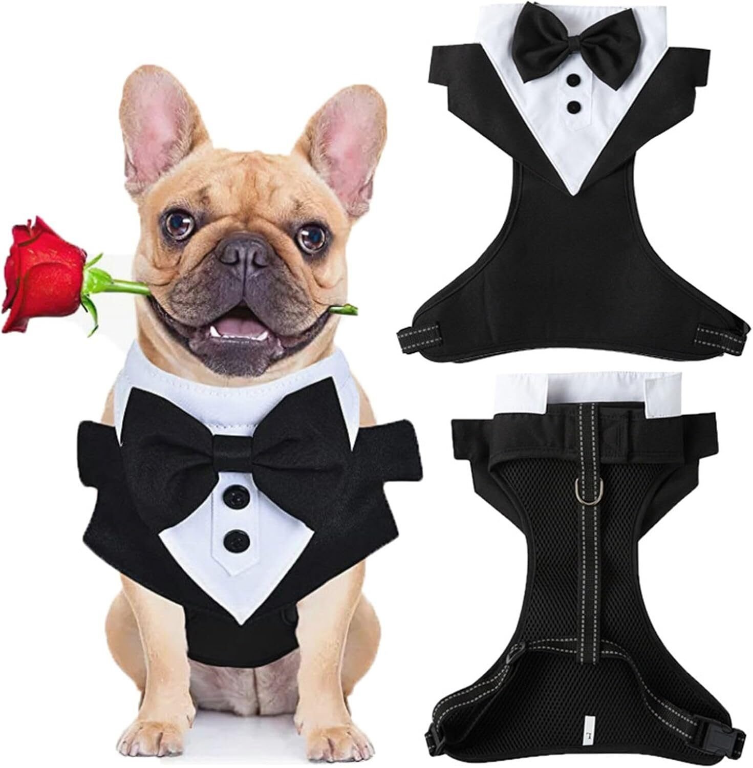 Disfraz para mascotas talla M en Riobamba, Chimborazo