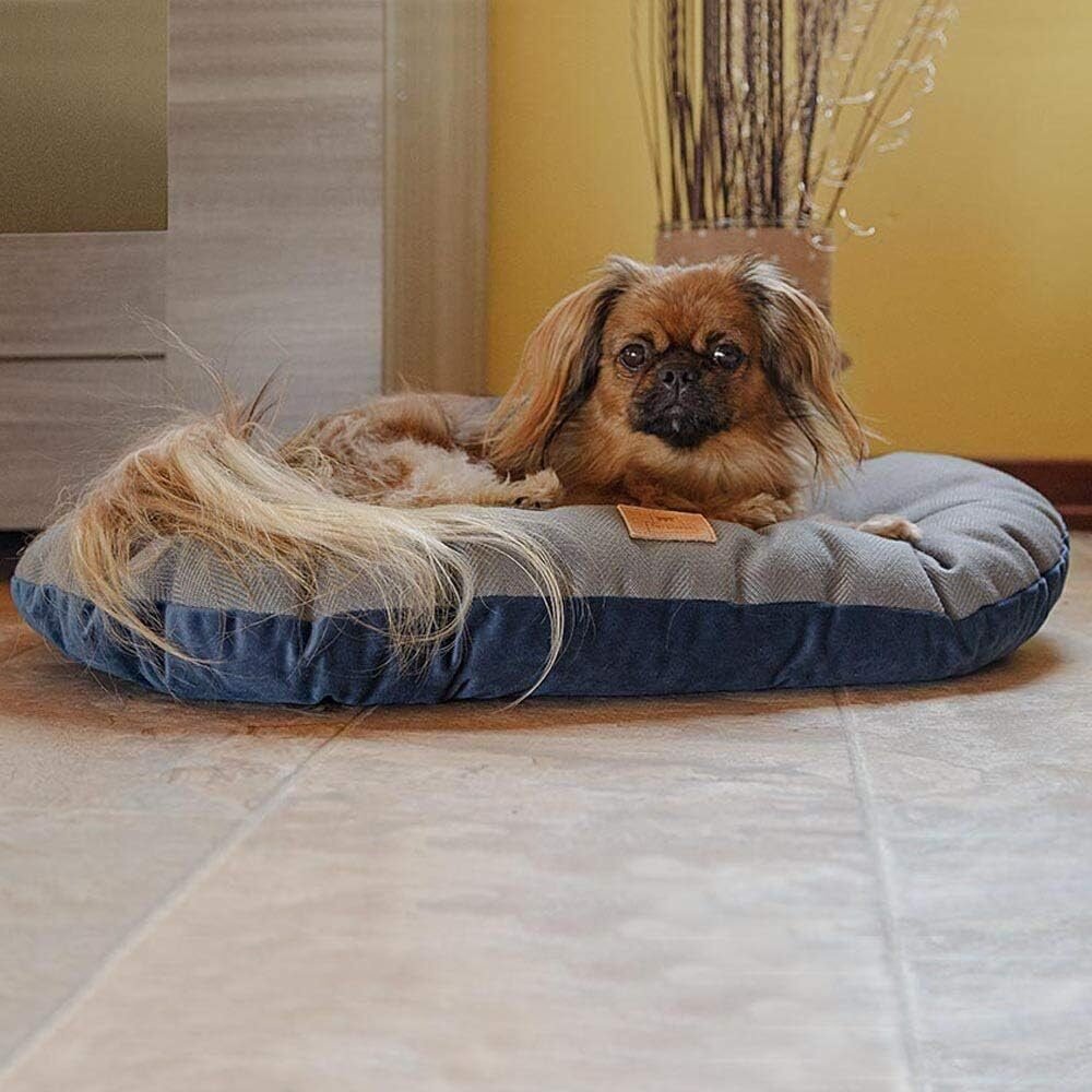 Ferplast Cojín Para Perros Y Gatos Stuart 55 x 36 cm en Riobamba, Chimborazo