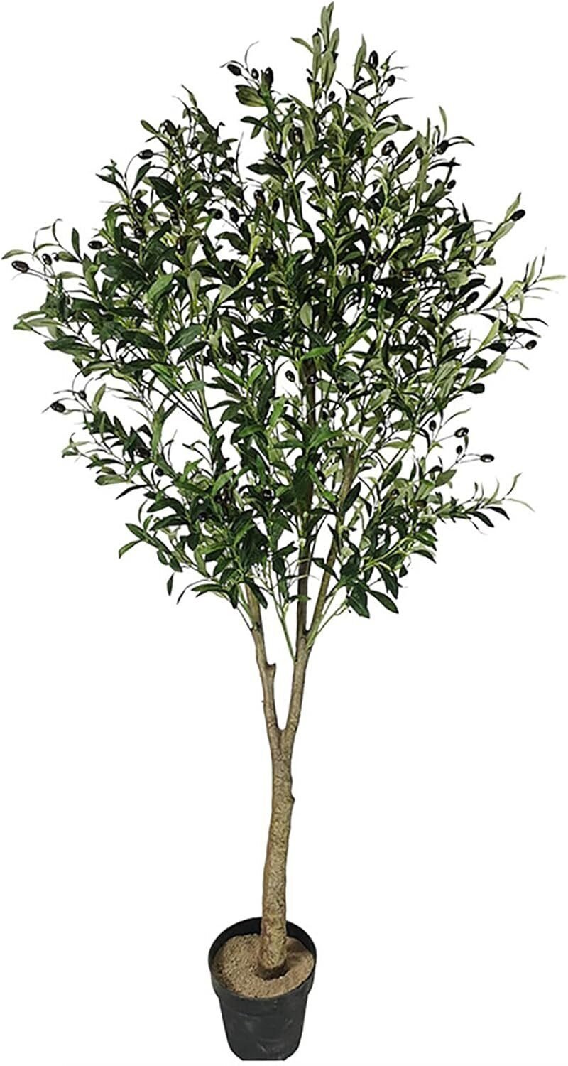 Olivo Falso en Maceta de 180 cm de Alto con Frutos de Aceitunas de plástico en Riobamba, Chimborazo