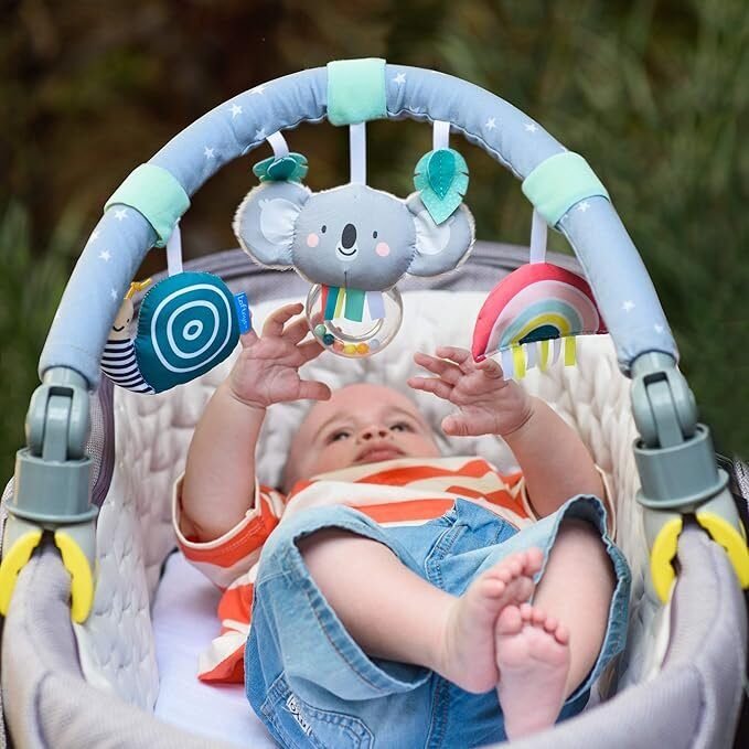 Taf Toys - Arco de carrito koala Un arco de coche para bebé en Riobamba, Chimborazo